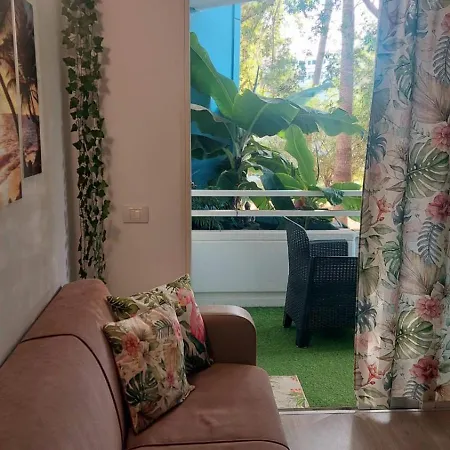 Tenerife 18 * 圣米格尔德阿沃纳