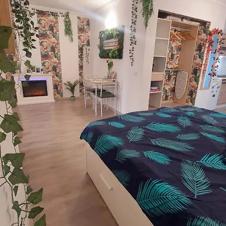 Tenerife 18 * 圣米格尔德阿沃纳