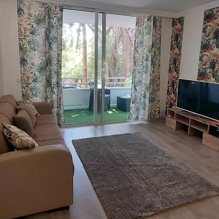 Tenerife 18 * 圣米格尔德阿沃纳